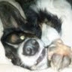 Meet your Posher, Adele